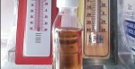 Nilam_Oil