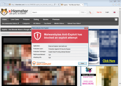 Awas!! Situs Porno Itu Sarang Malware